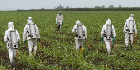 Monsanto "Bullied Scientists" and Hid Weedkiller Cancer Risk, Lawyer Tells Court
